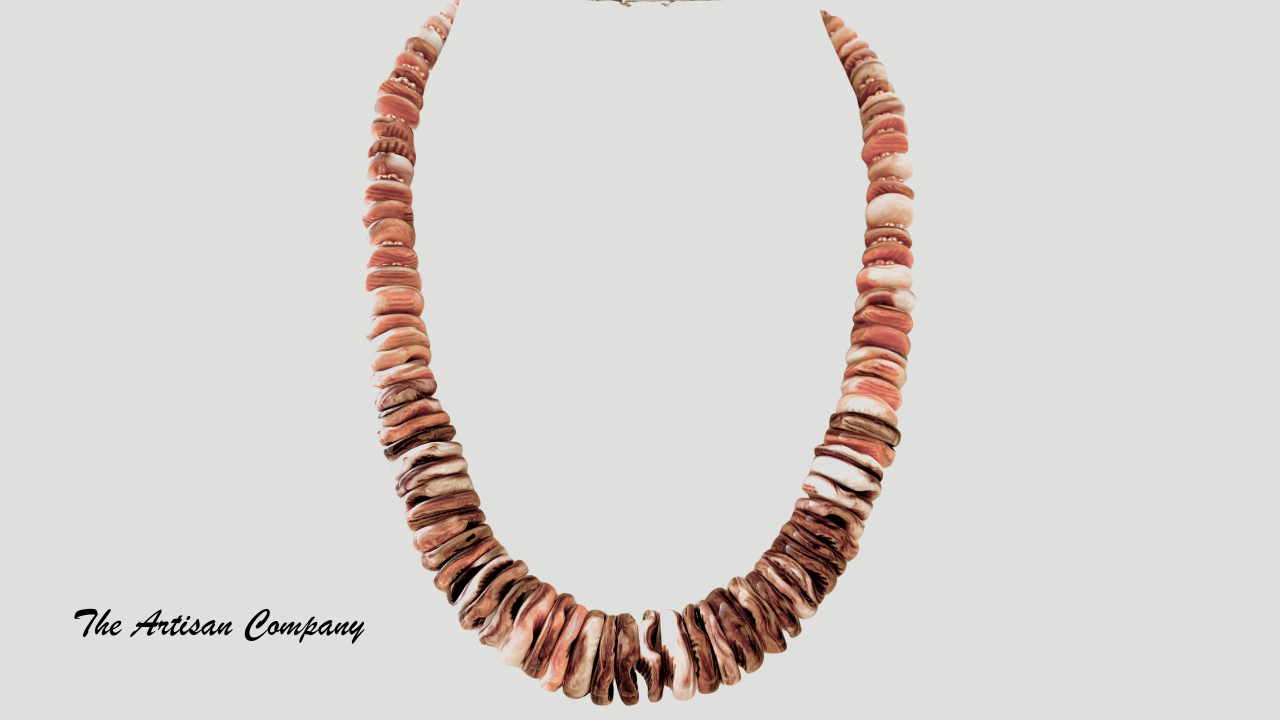 Rare Big Lions Paw Shell Necklace with Earrings