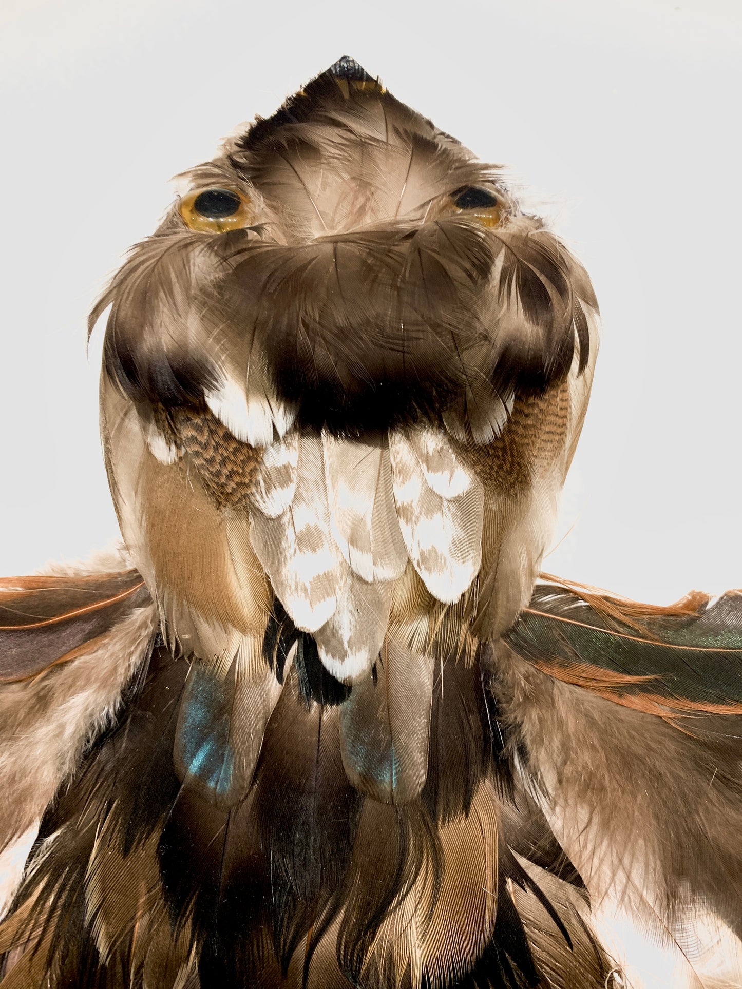 Destiny of Hope - Dimensional Art - Eagle