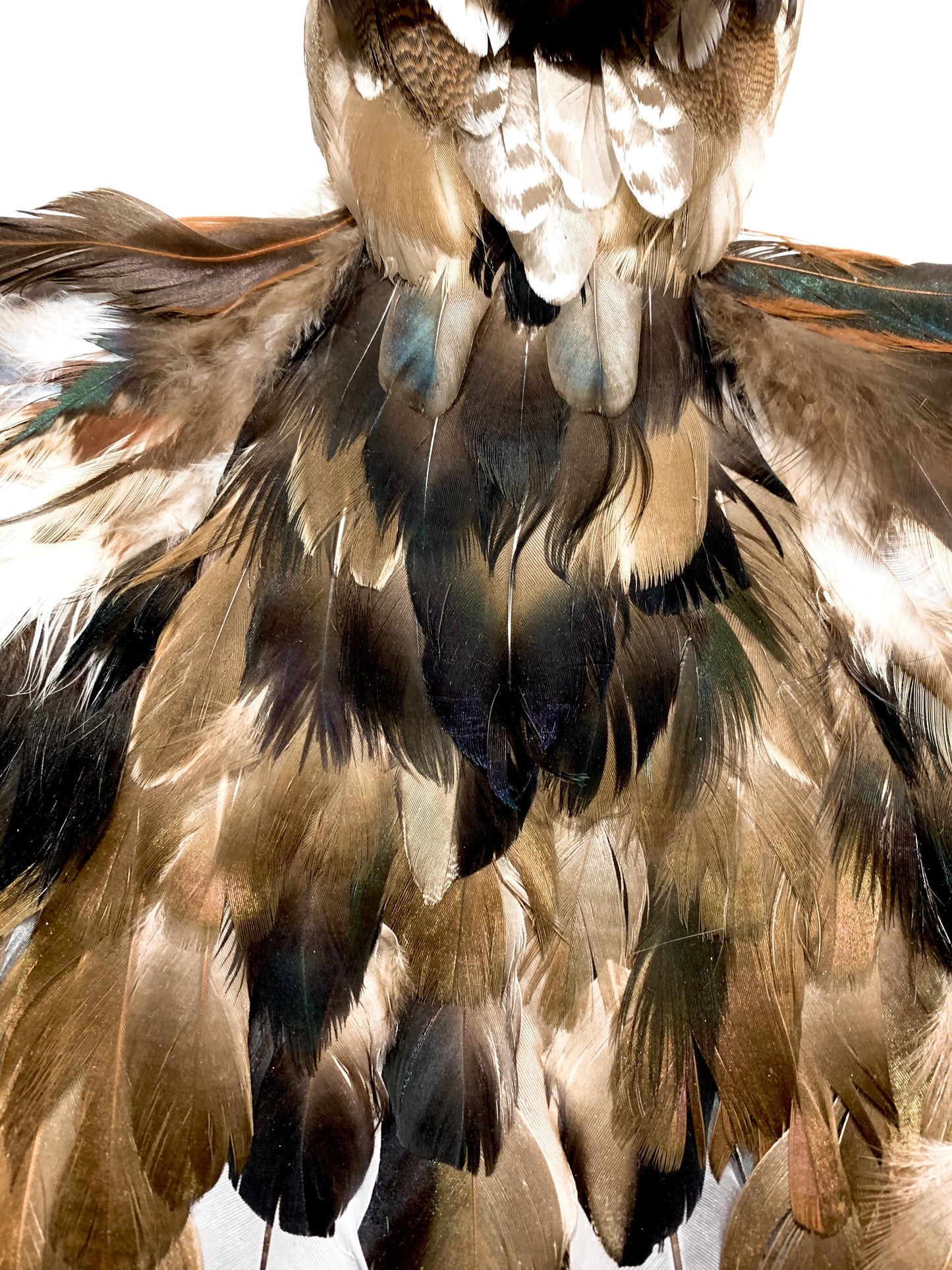 Destiny of Hope - Dimensional Art - Eagle