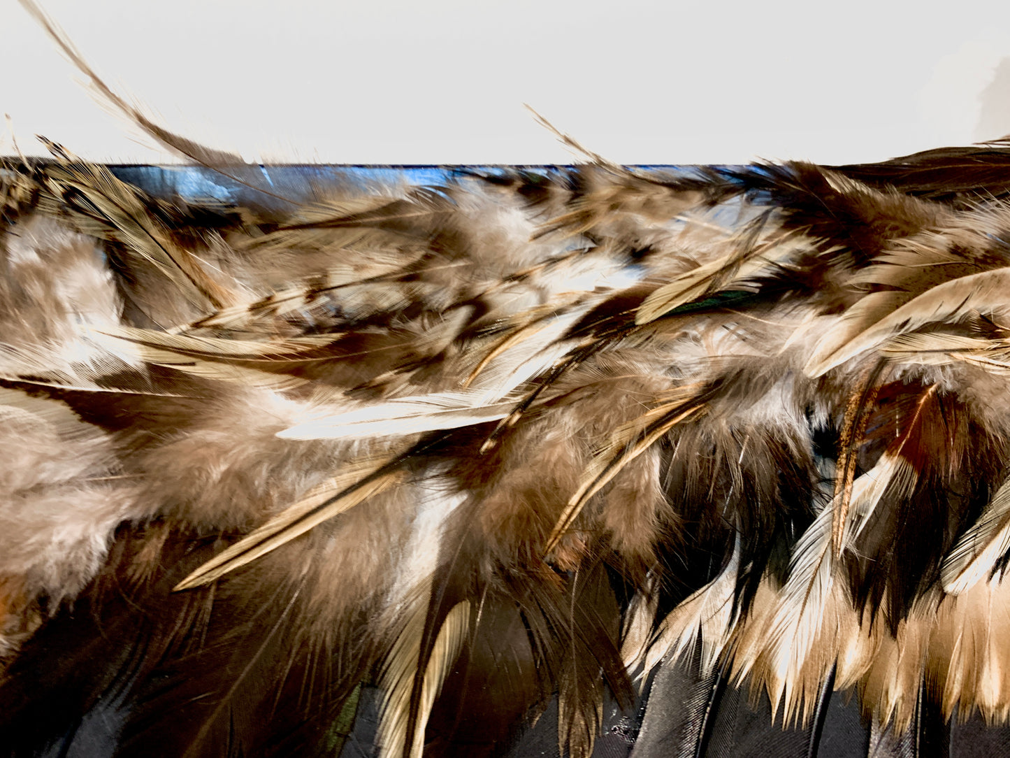 Destiny of Hope - Dimensional Art - Eagle