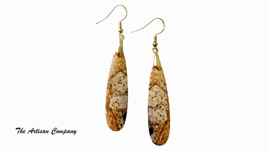 Large Petrified Palm Wood