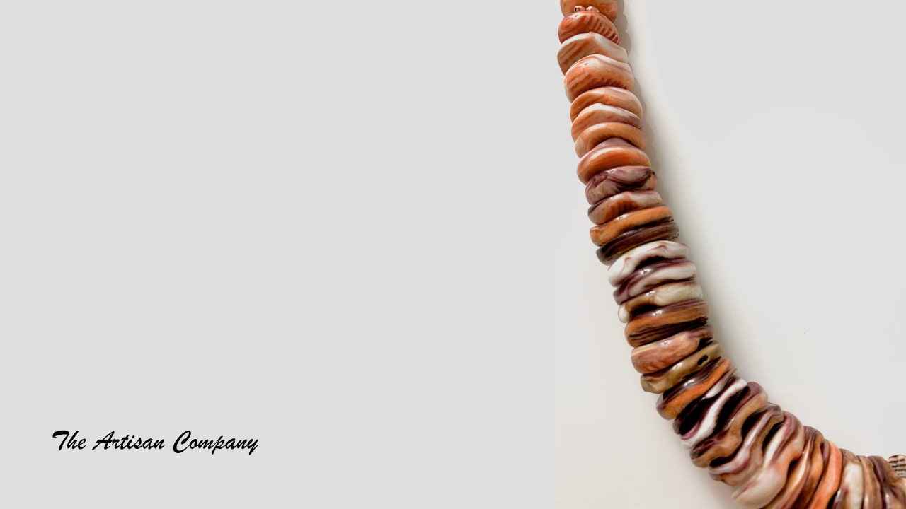 Rare Big Lions Paw Shell Necklace with Earrings